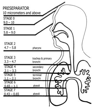 image graph1